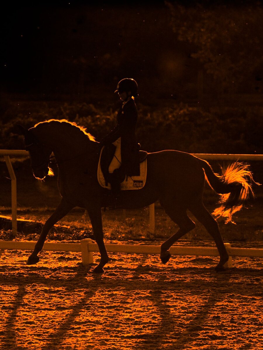 «Если вы уже сели на лошадь, нет смысла бояться»