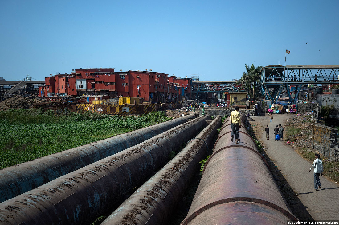 Индия. Трубы. "Удобрение".  // Фото: из открытых источников.
