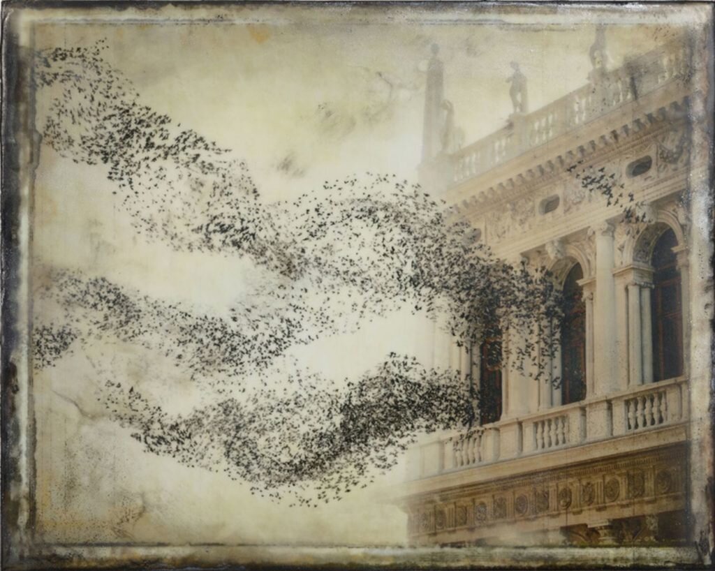     фото: Ransom & Mitchell