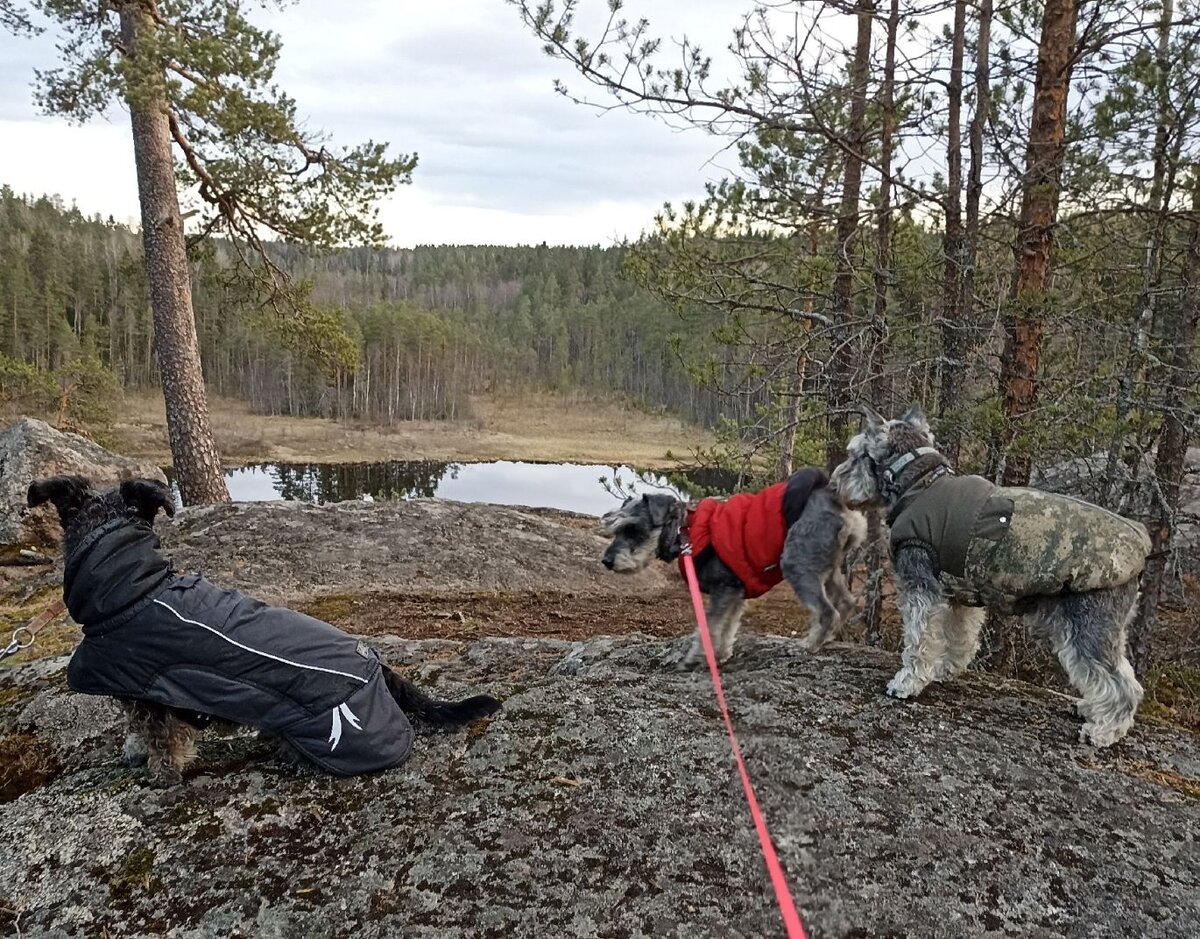 Марик в красненьком