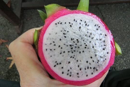    Россиянам перечислили вещи, от которых стоит отказаться ради защиты экологии