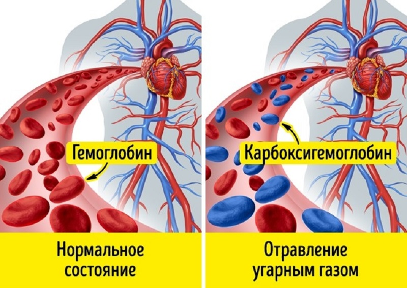 13 объясните физиологическое действие угарного газа на организм человека используя рисунок