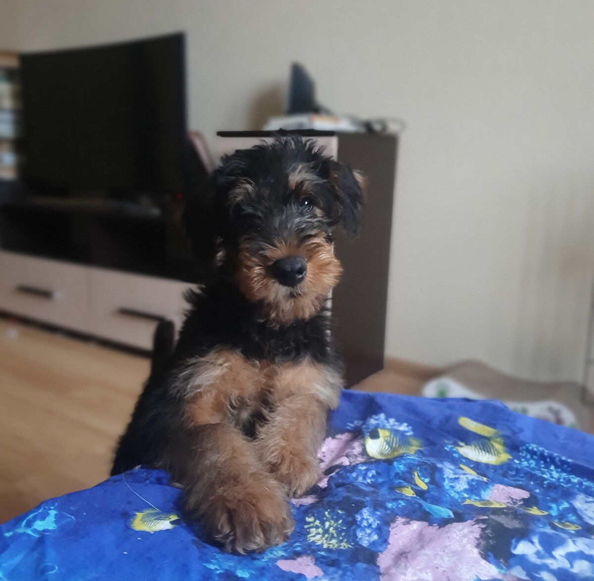 Вы сейчас читаете эту статью, я прав? 