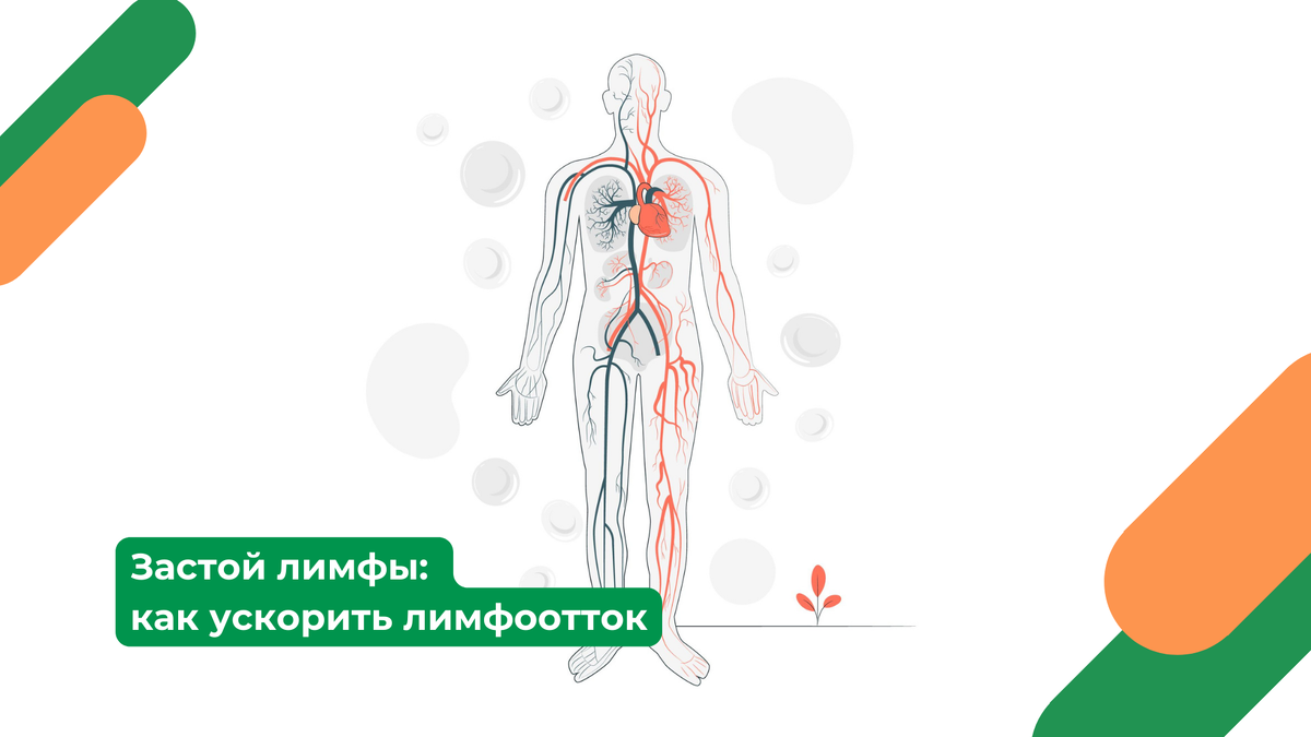 Лимфатическая система - это часть иммунной системы, которая помогает защищать организм от инфекций и болезней. Лимфоток - это движение лимфы по лимфатической системе.