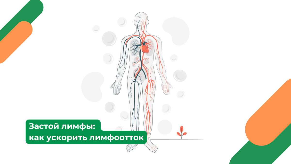 Как разогнать лимфу для похудения