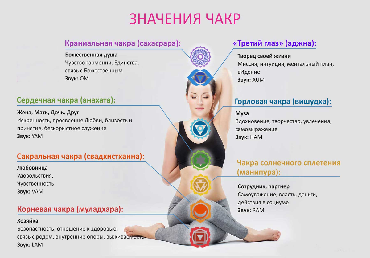 Фотография взята из источника yandex.ru 