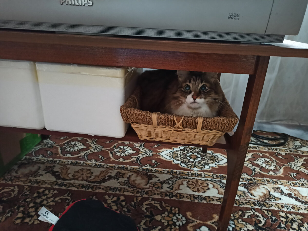 Поймали с поличным