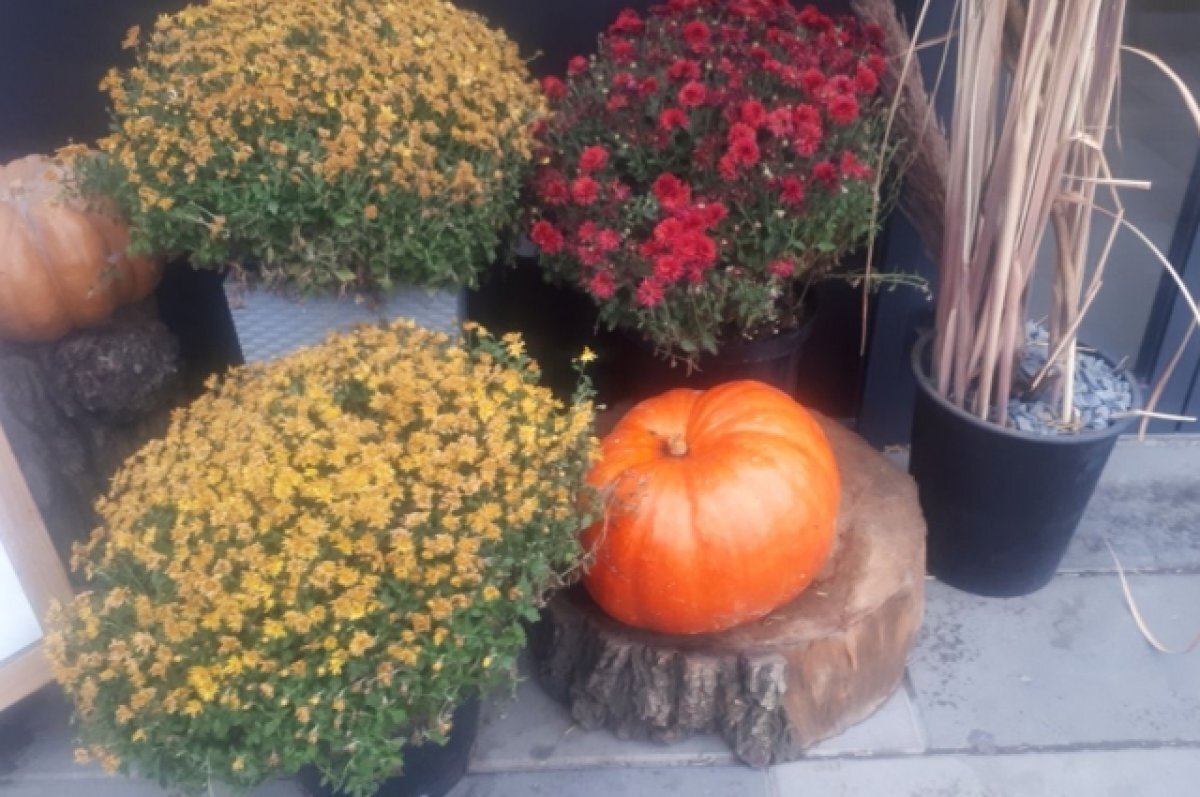    Облачную погоду без осадков обещают в День народного единства в Ростове