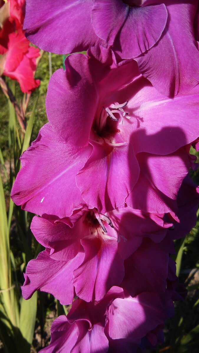 Все таки он бесподобен