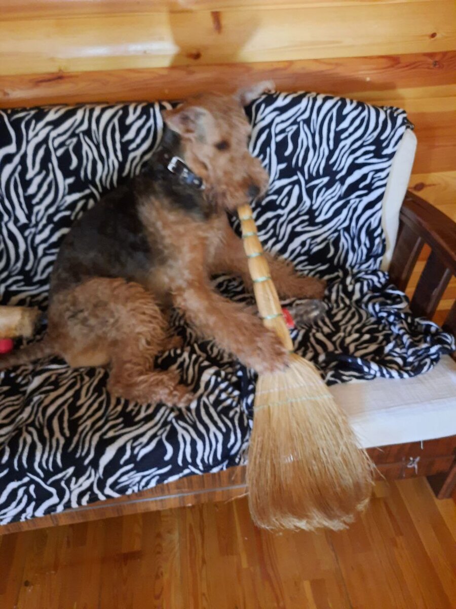 Я полы подметаю, например. Кто так еще умеет? 