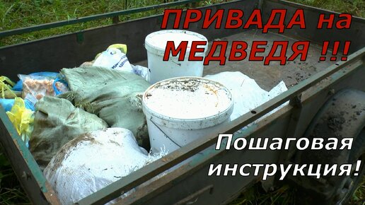 Привада на медведя! Как сделать? Пошаговая инструкция! Не благодарите...