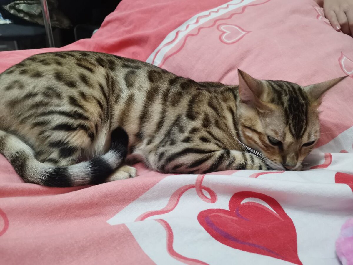 На фото Альбе 18 месяцев