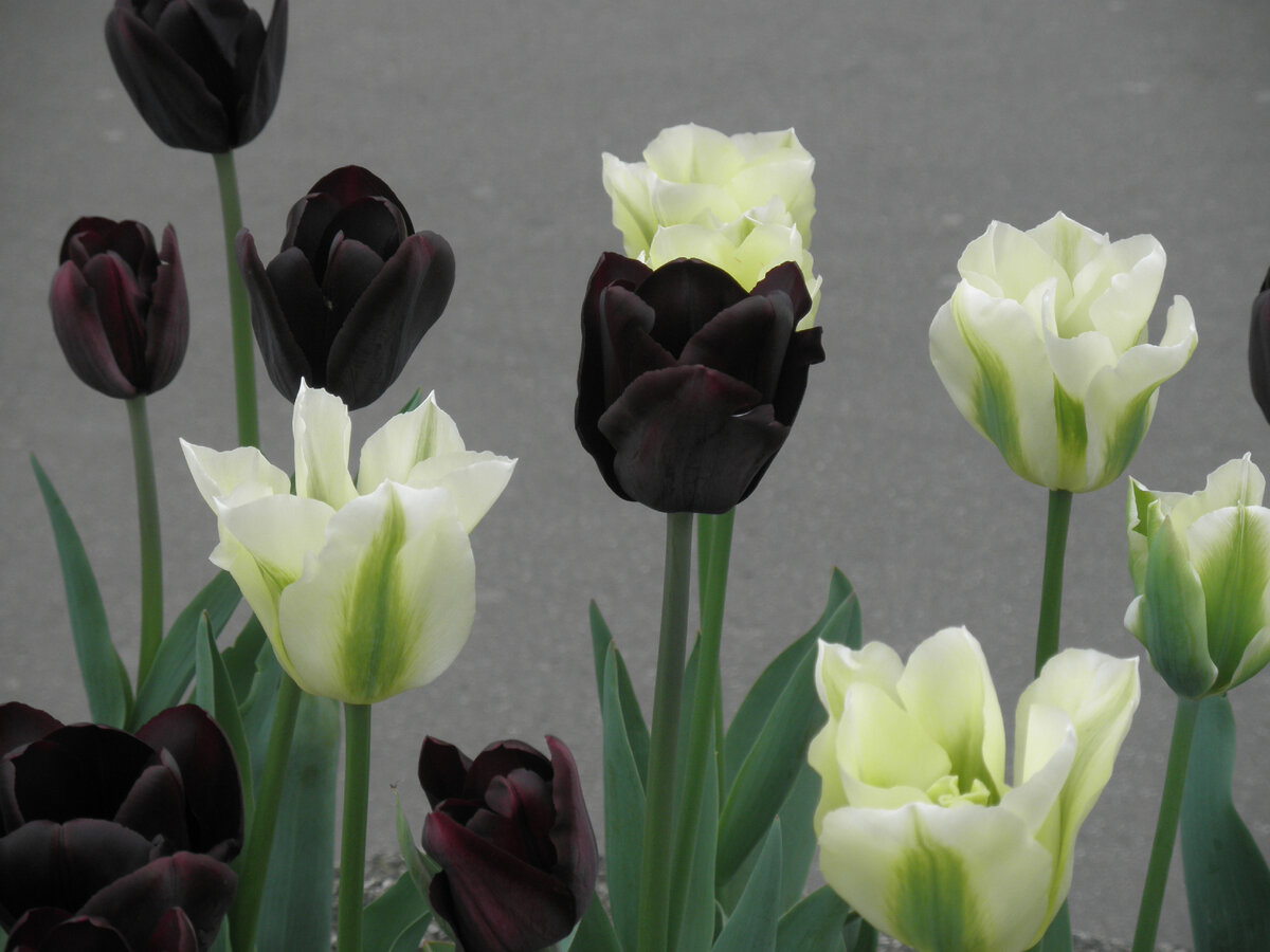 Иллюстрация к рукописи моей книги «Курортный роман» ©AzurevaMarinaBOOKS