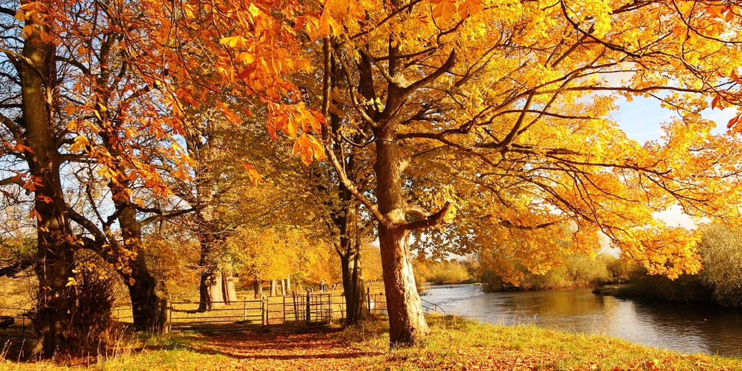 Итоги октября на Авито