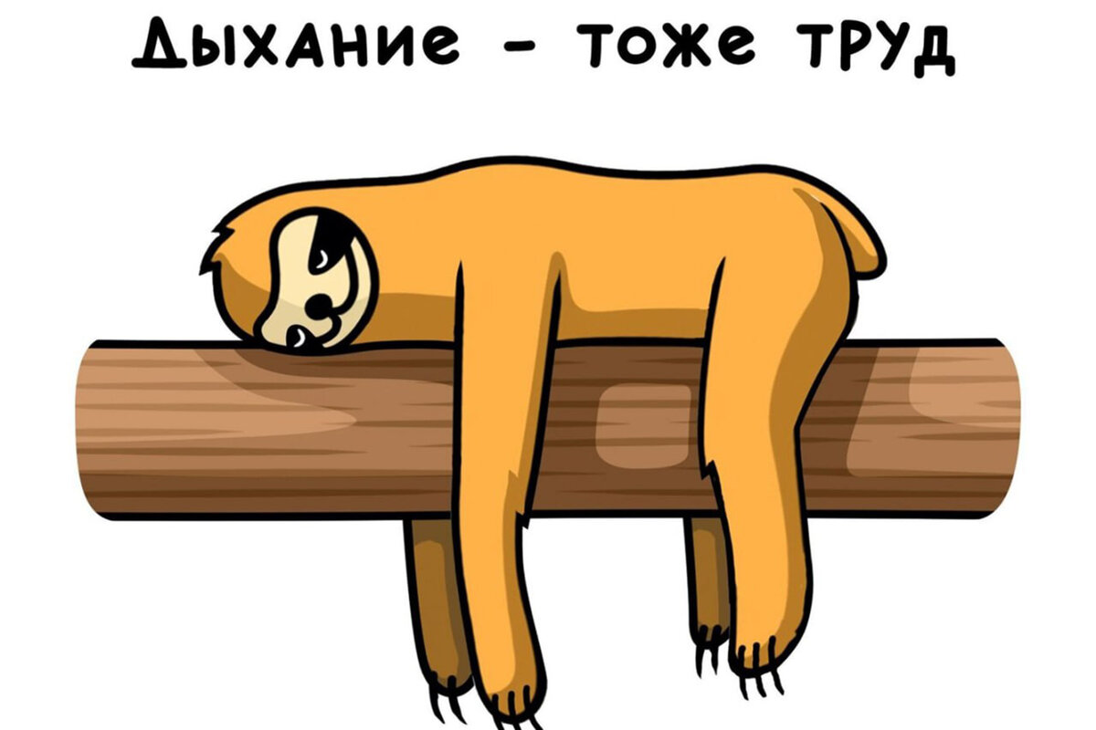 Картинка из открытых источников