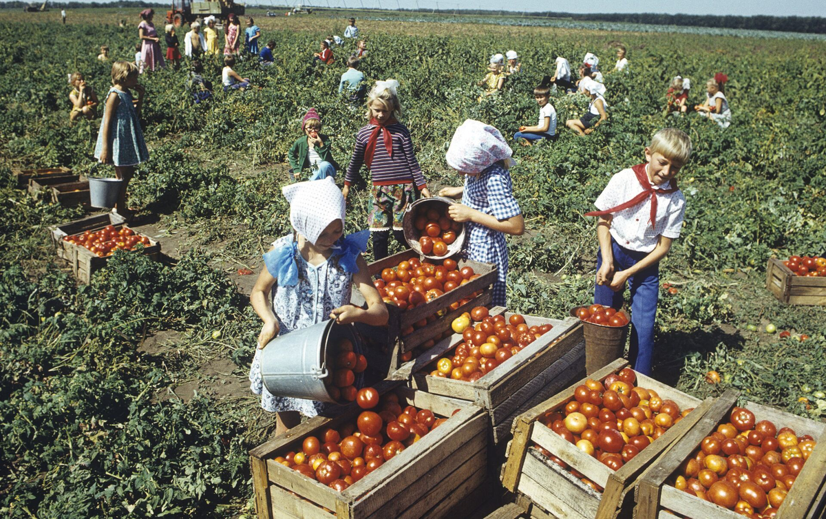 Будни советского гражданина