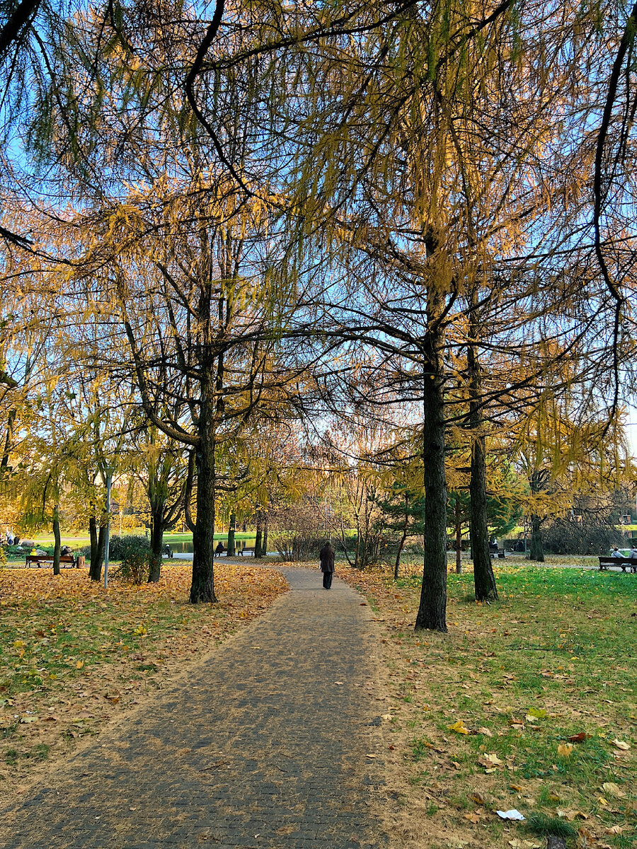 Фото сделаны мной. Гуляю по городу и фотографирую красоту. Еще одно мое хобби. 