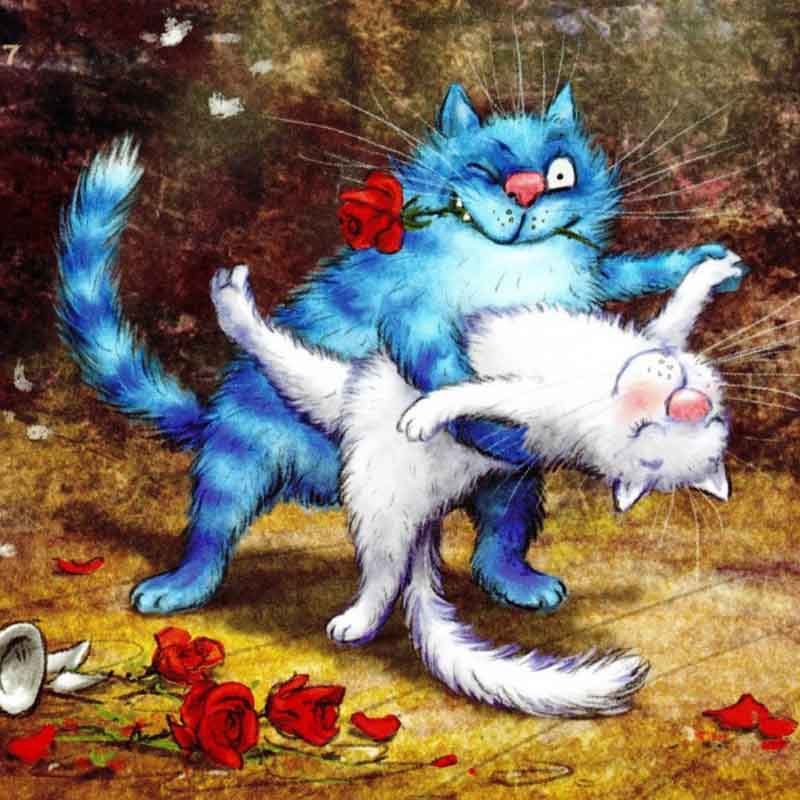 очаровательные коты Рины Зенюк