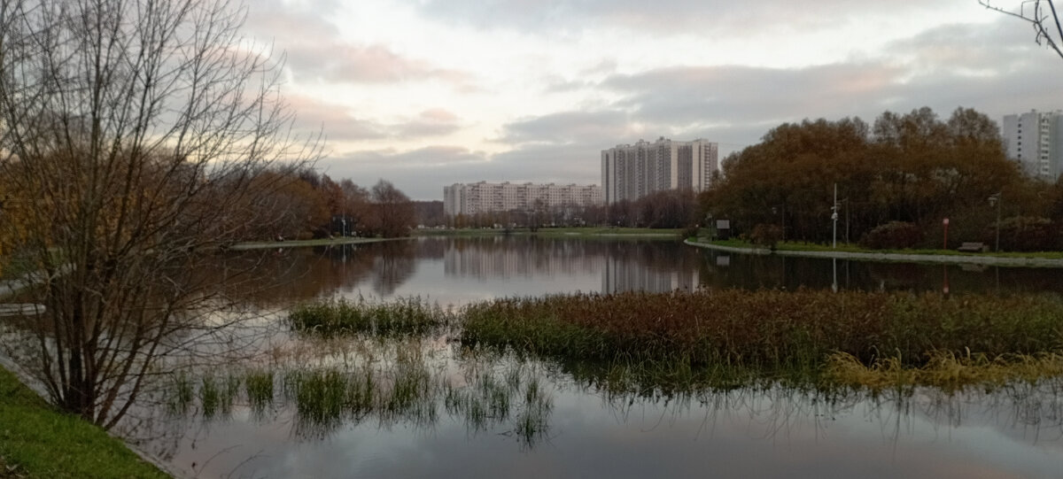 03.11.2023 г. Алтуфьевский пруд. Фото автора.