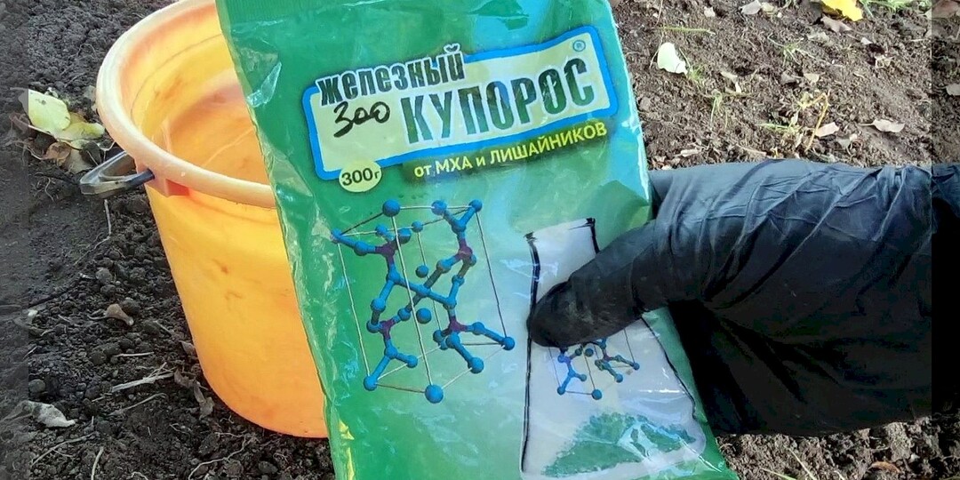 50 вопросов от дачников новичков о разных садово-огородных делах: разбираем детально некоторые дачные премудрости