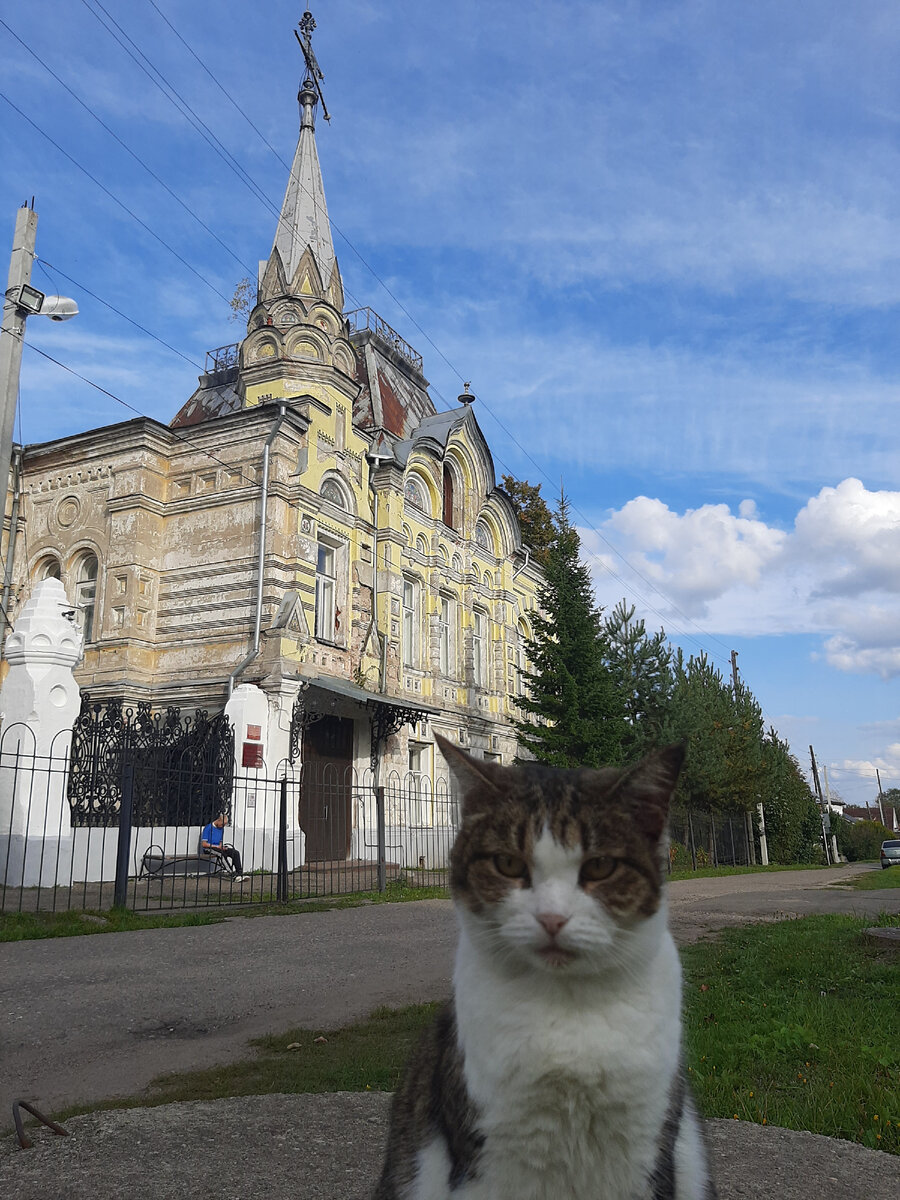 Дворец Локаловых. Село Великое. 