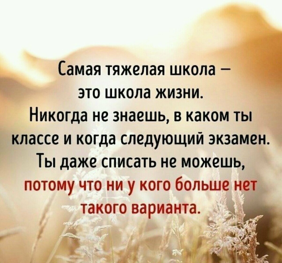 Директный Сатурн: сдали экзамены и можем наслаждаться жизнью | Что нас ждет  в будущем | Дзен