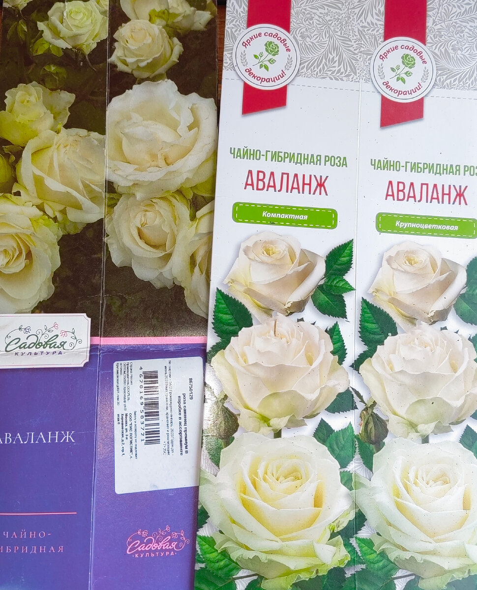 Вот так это было. Фото автора