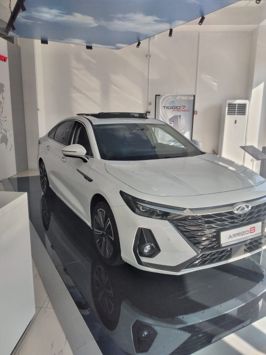 Авторское фото ARRIZO 8