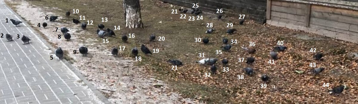 Фото автора от 4 ноября 2023