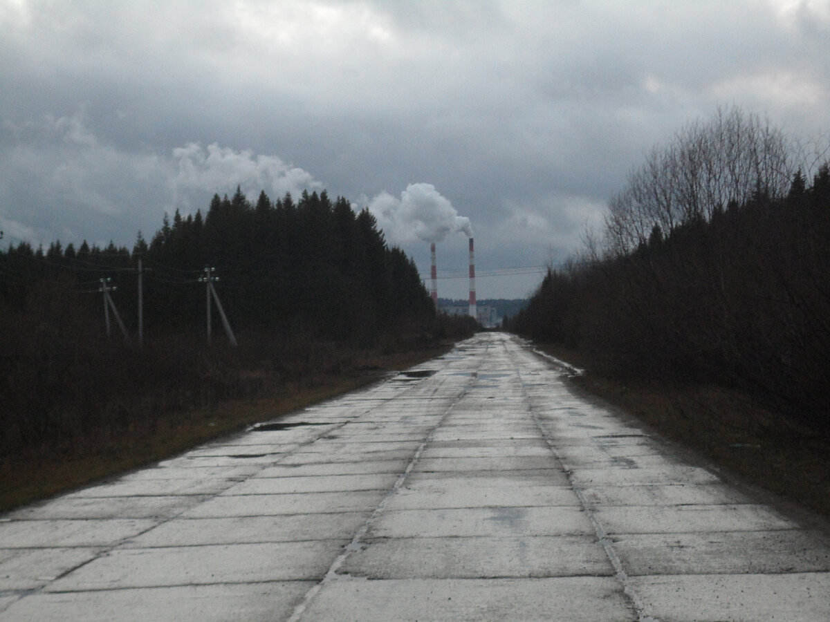 По дороге к поселкам Галка и База (Пермский край, г. Александровск, п.  Ява). Пешеходный маршрут выходного дня. | 