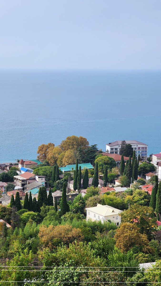 Ах какой вид! Невозможно перестать смотреть ❤️