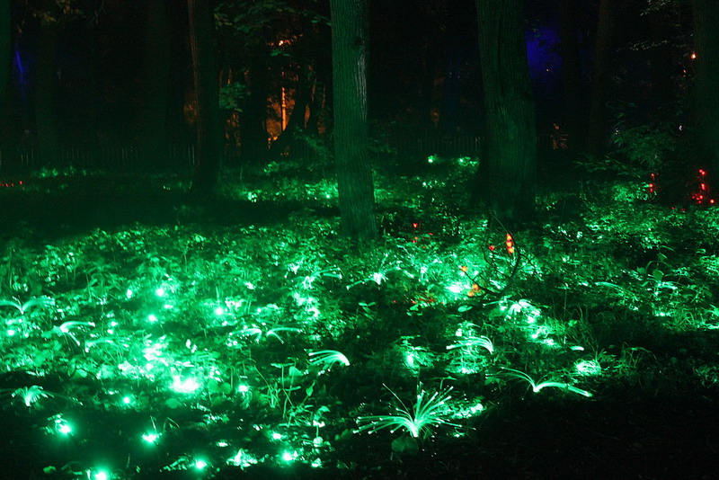 сверху светиться. шар, светящийся изнутри. вавилониум светодиодная брусчатка. планктон. неоновая подсветка для комнаты.