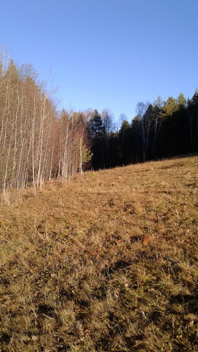 прозрачное, осеннее. 02.10.23