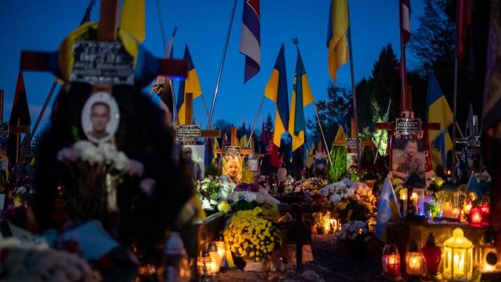 Фото: globallookpress.com/Anastasiia Smolienko