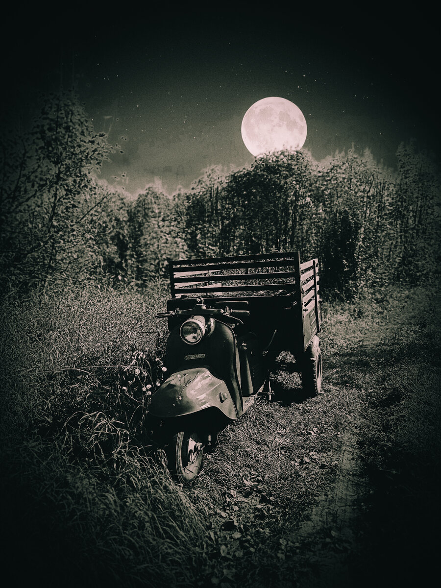 Муравей в ночи...