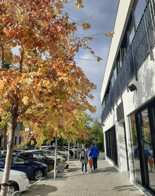 Пусть сегодня будут просто осенние зарисовки