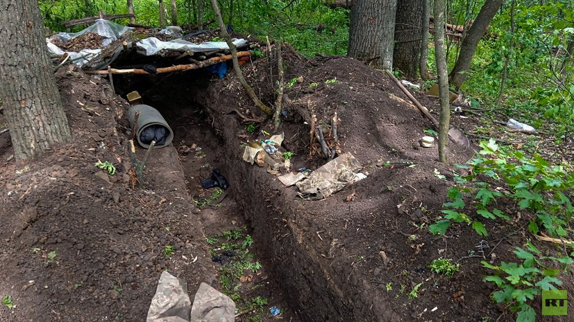 «Шервудский лес» — лесная территория к востоку от трассы Изюм — Славянск. Источник фото: argumenti.ru