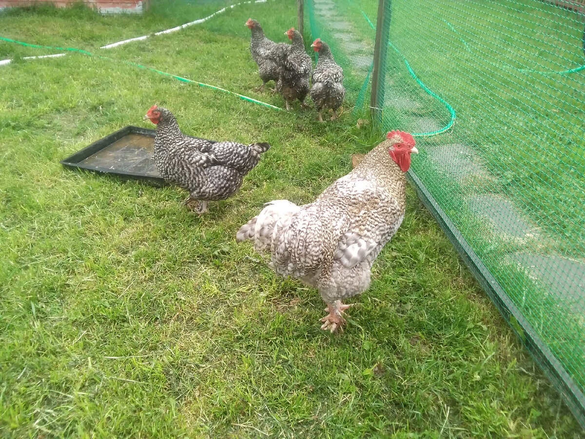 Фото автора.