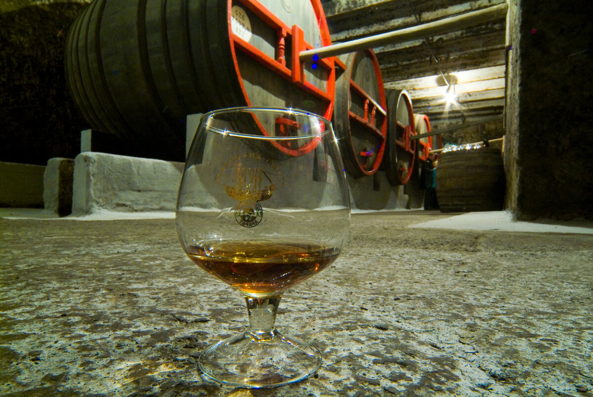 Фото: Konstantin Kokoshkin/Globallookpress