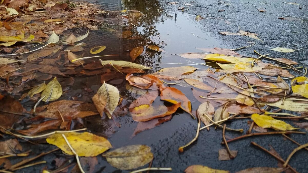 Погода в Белгороде-Днестровском в ноябре