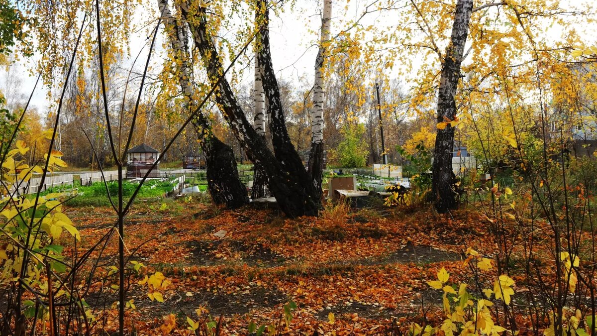     Предполагается, что будущий владелец участка построит здесь новый жилой комплекс.