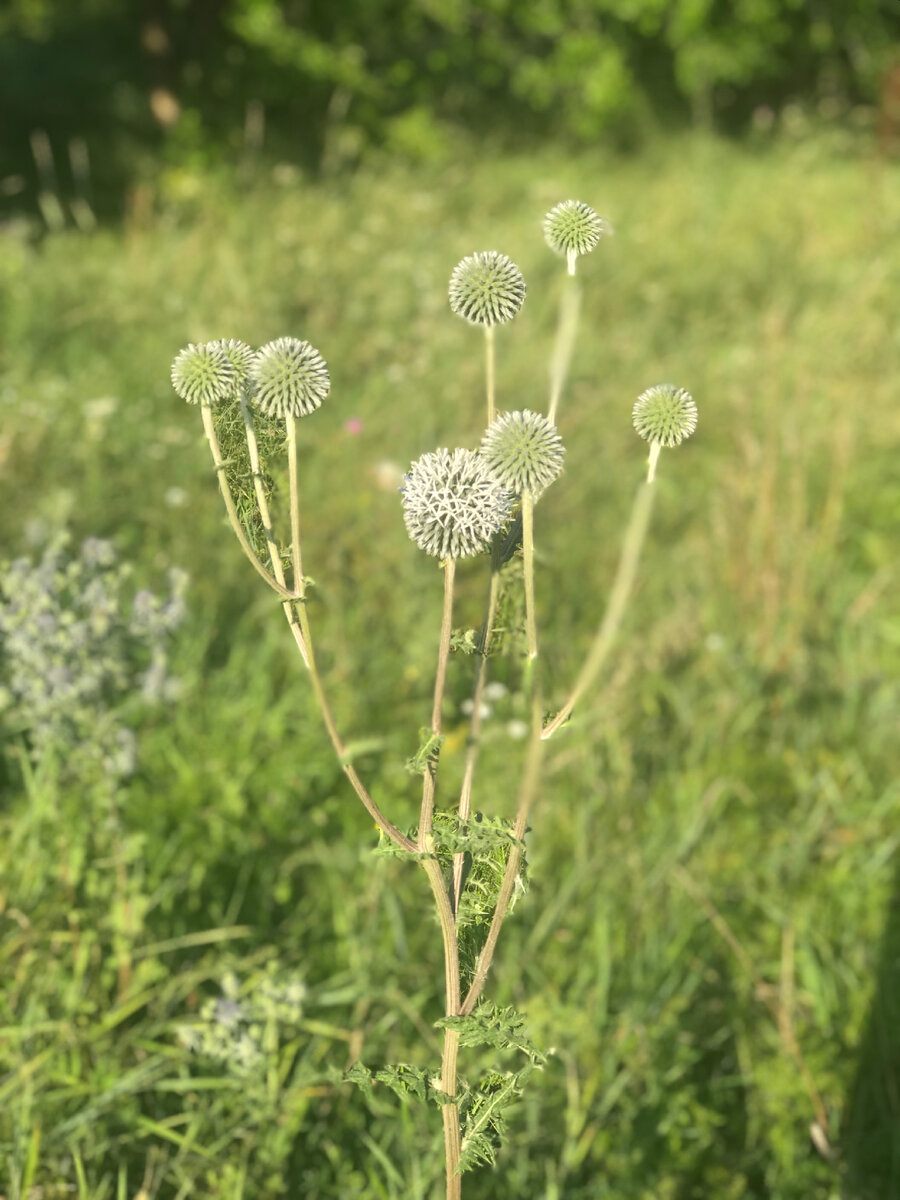 Фото из личного архива