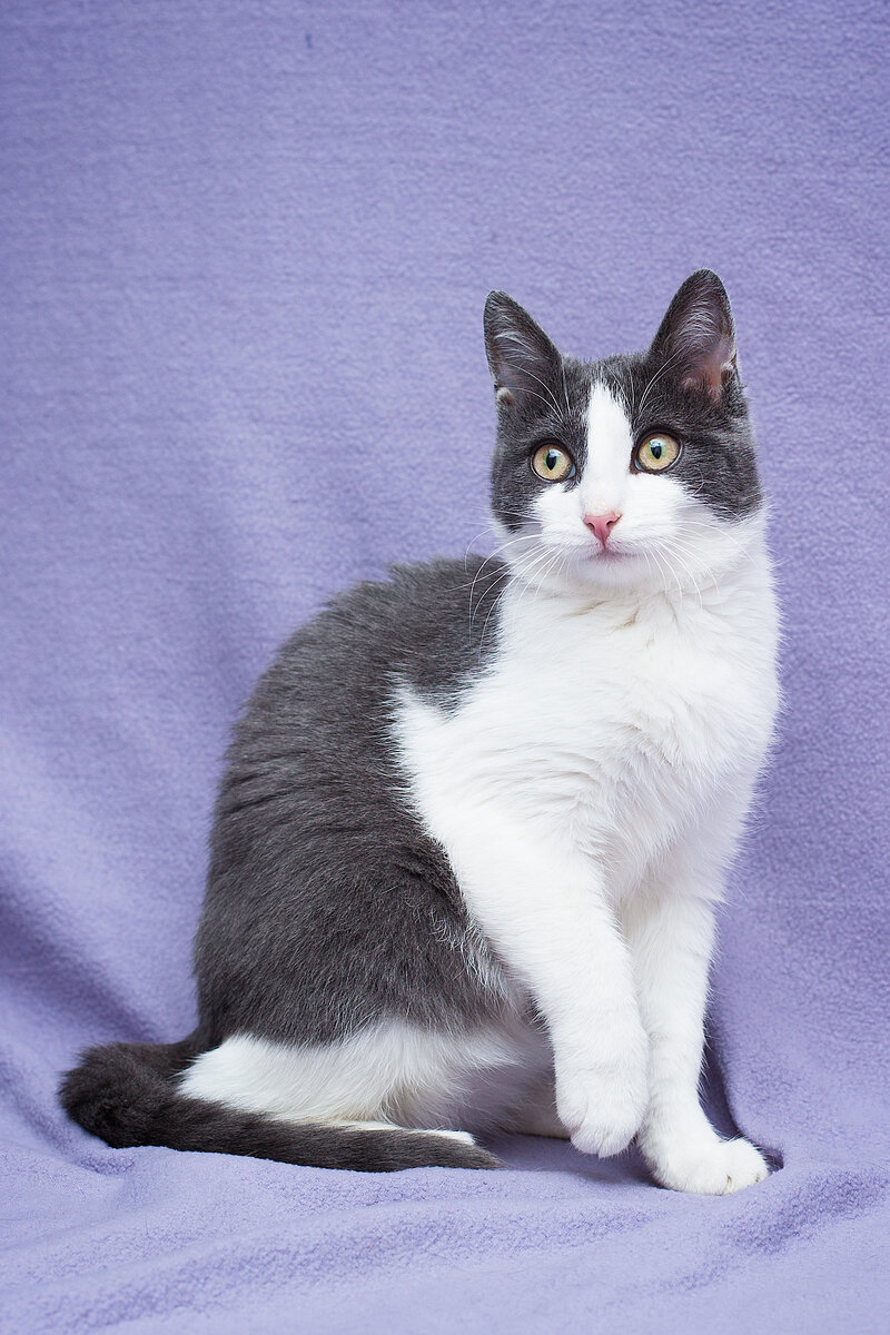 Ты кто? И что за штука у тебя в руках??  - Сказала Таисия Фотографу