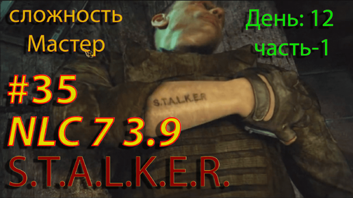 S.T.A.L.K.E.R. NLC7 3.9 Прохождение #35 День-12. Часть-1.Схрон в Тёмной Долине. Боров. Жила. Лохматый. Задания Борова.