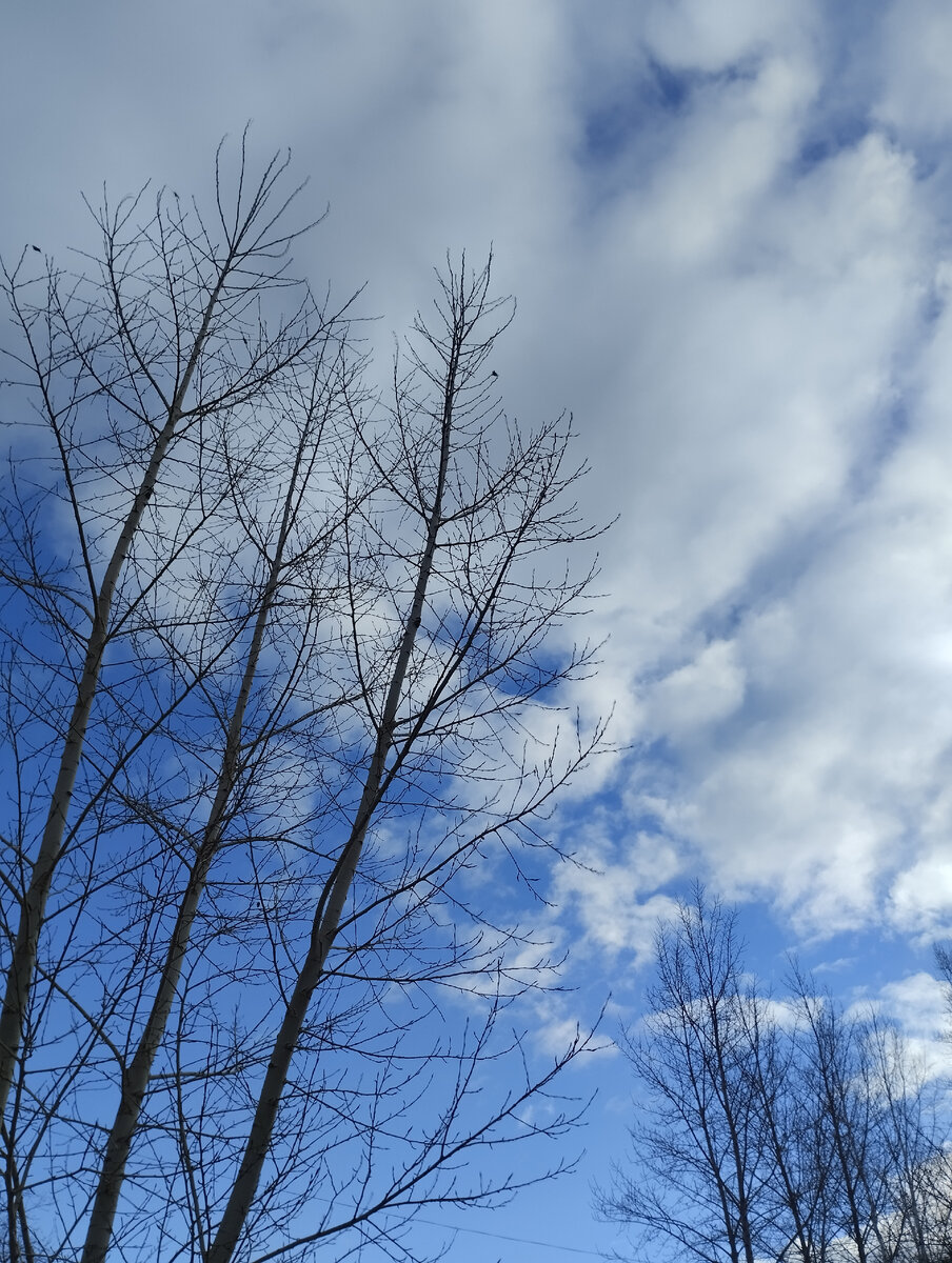 Чистого вам неба.. Фото автора.. 