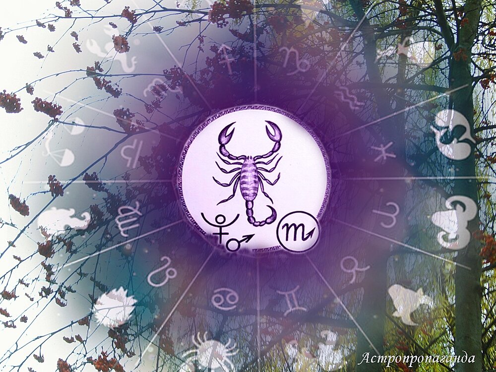 Коллаж Нины Стрелковой. 