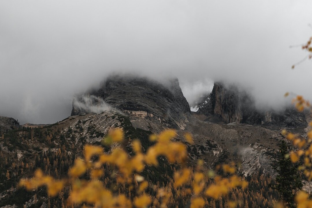 Источник: https://unsplash.com/