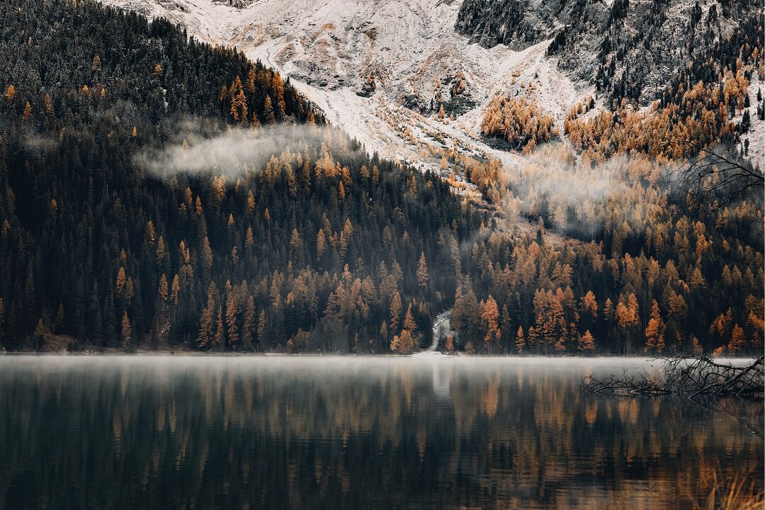 Источник: https://unsplash.com/