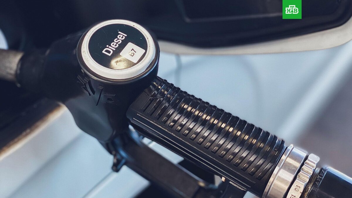    Фото: Jennifer Latuperisa-Andresen / unsplash.com