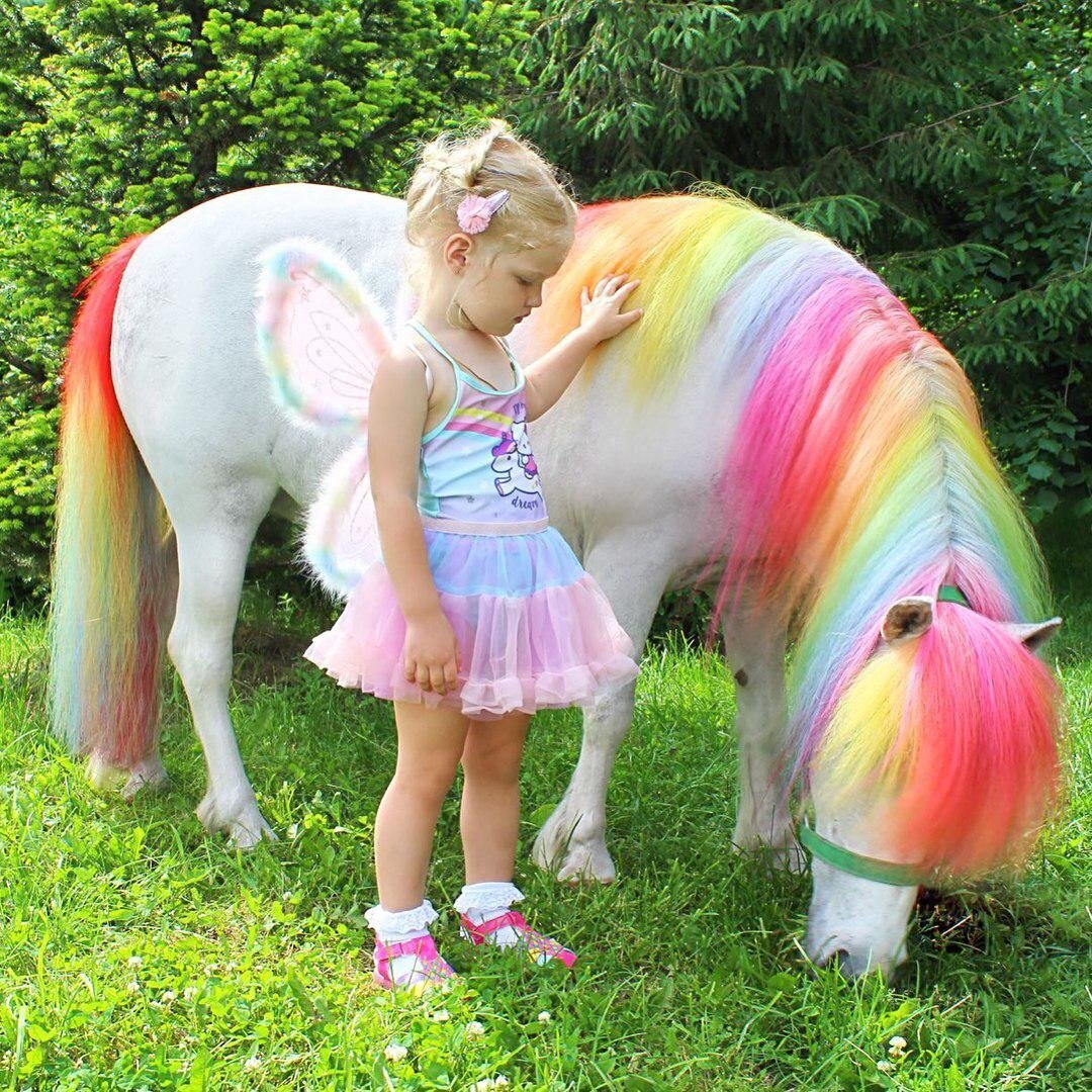 Какого цвета единорог. Радужный Единорог. Лошади и пони. Радужные лошадки. Лошадь с радужной гривой.